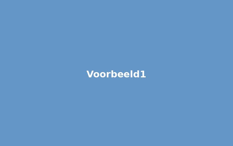 Voorbeeld project 1
