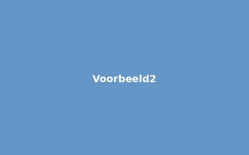 Voorbeeld project 2